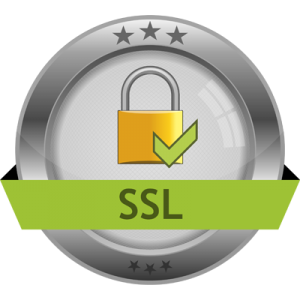 SSL SERTİFİKA KREDİ KARTI ALIŞVERİŞ KORUMA
