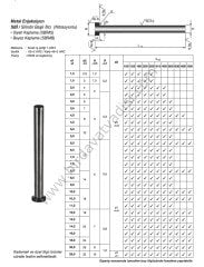Metal Enjeksiyon Silindir Başlı İtici Pim - SİYAH 25 - 1000