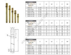 Hortum Girişli Rekor  (SR) 1/8 - 150